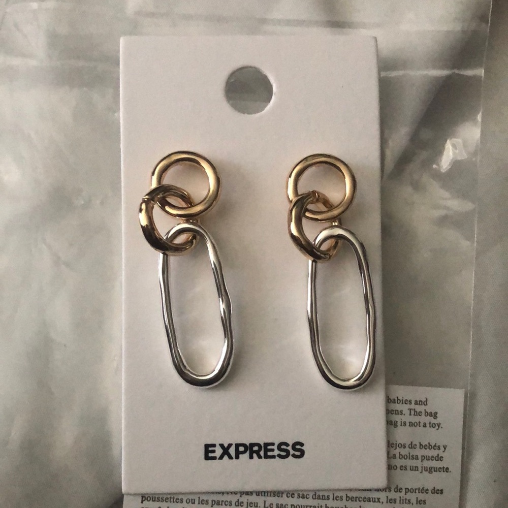 EXPRESS Mixed Metal Earrings